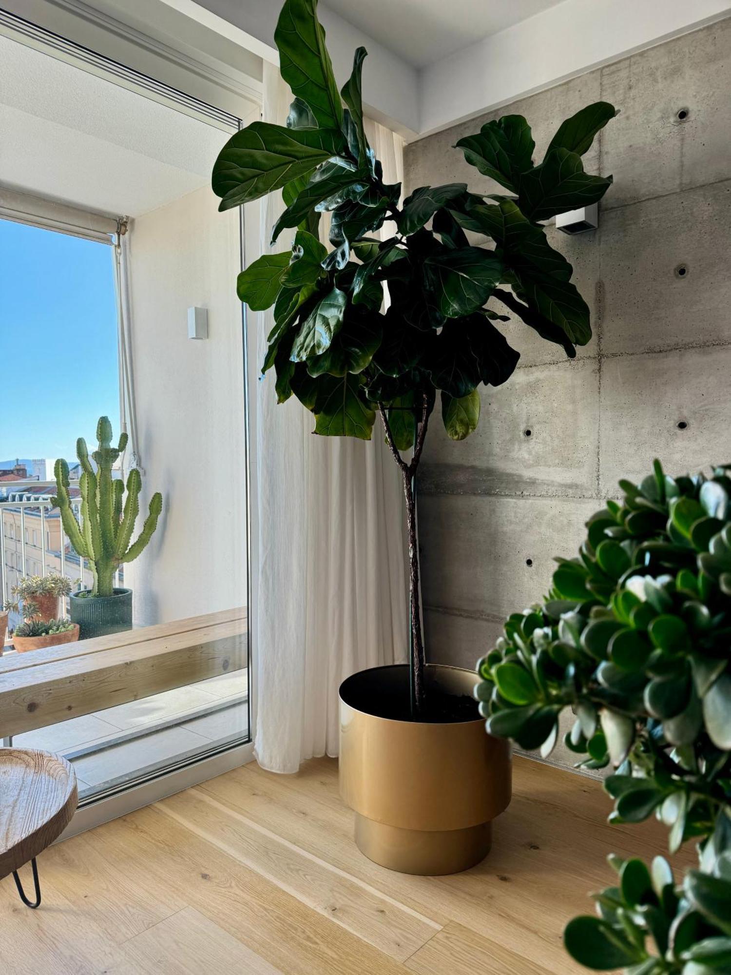 D'Art Penthouse Leilighet Split Eksteriør bilde